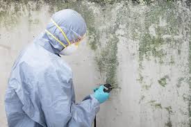 Best Mold Remediation for Healthcare Facilities in Monaca, PA